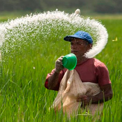 Nitrógeno Urea 46%