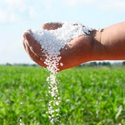 Nitrógeno Urea 46%